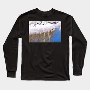 Awaiting The Thaw Long Sleeve T-Shirt